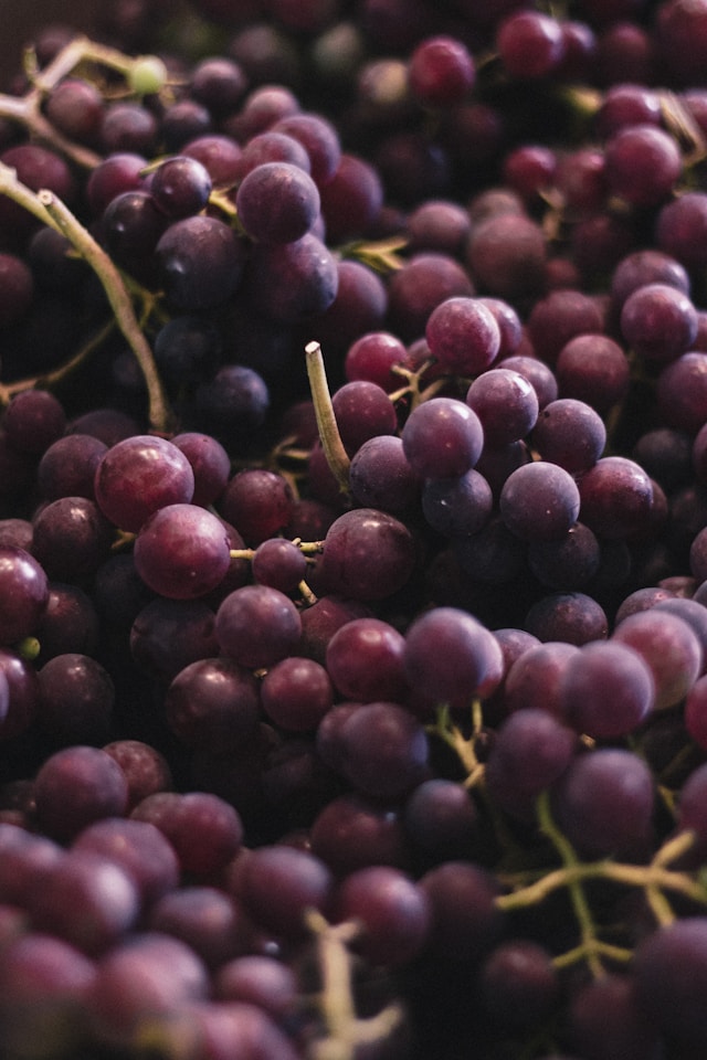 resveratrol